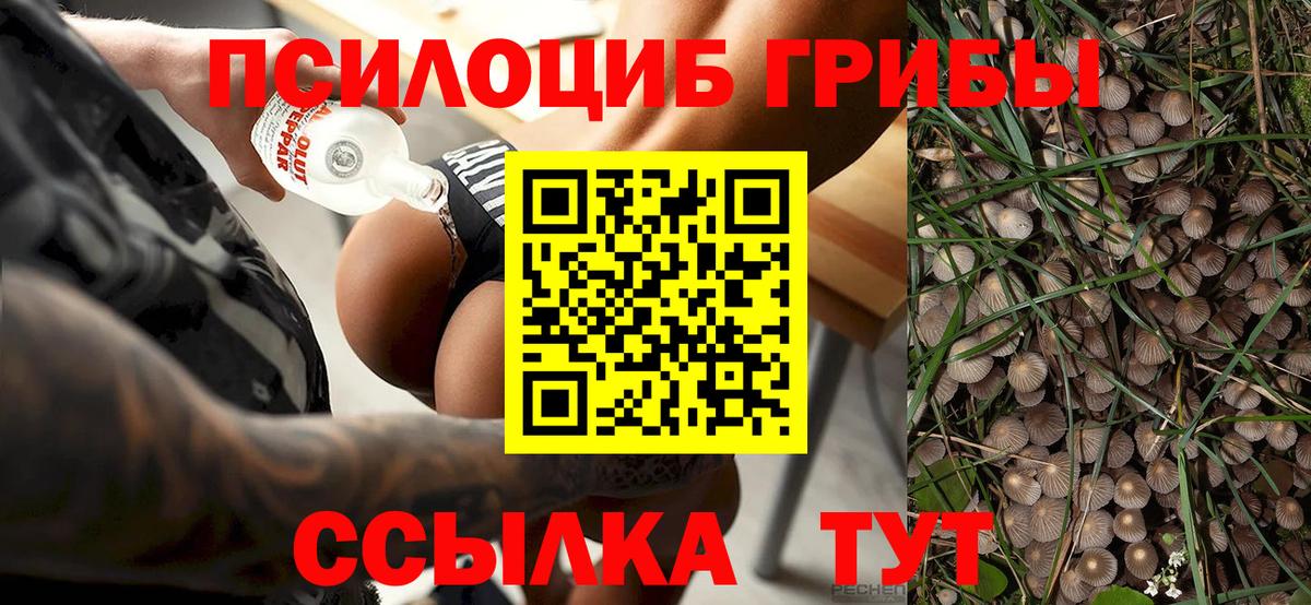 Вязники  Псилоцибиновые грибы ЛСД  Вход с VPN  Галлюциногенные грибы ЛСД 