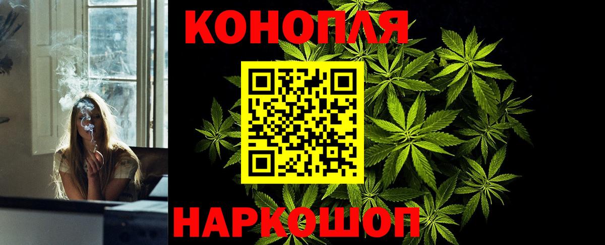 Бошки Шишки сатива Вязники